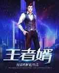 王者婿